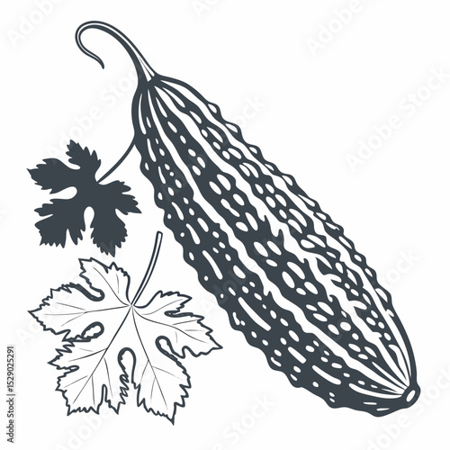 Bitter Gourd
