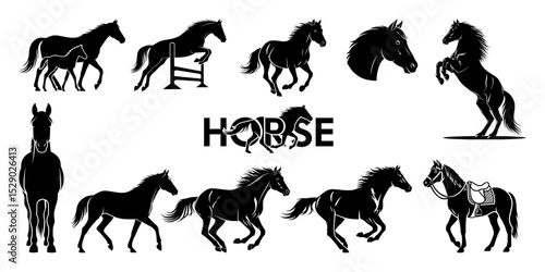 Black Horse Silhouette Graphic Icon Collection