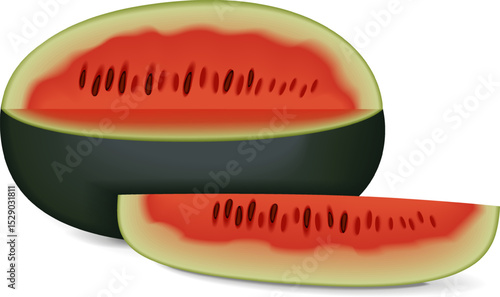 Whole and chopped Kiran Watermelons. Ice-box Watermelon. Citrullus lanatus. Fruits and vegetables. Isolated vector illustration.