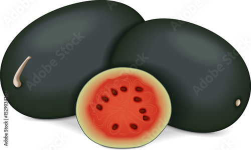 Whole and chopped Kiran Watermelons. Ice-box Watermelon. Citrullus lanatus. Fruits and vegetables. Isolated vector illustration.