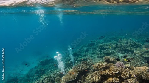 Wallpaper Mural Vibrant underwater scene of a coral reef with exotic fish and rising bubbles Torontodigital.ca
