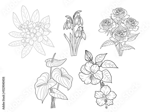 Line art of various flowers, white isolate background