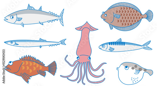 魚セット（ハマチ、ヒラメ、サンマ、イカ、イワシ、カサゴ、フグ）