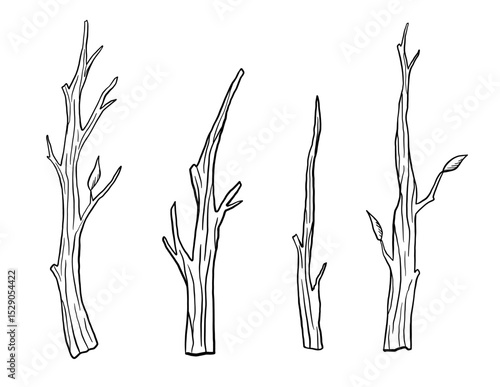 Dry tree branch sketch isolated on white background. Hand drawn illustrations set