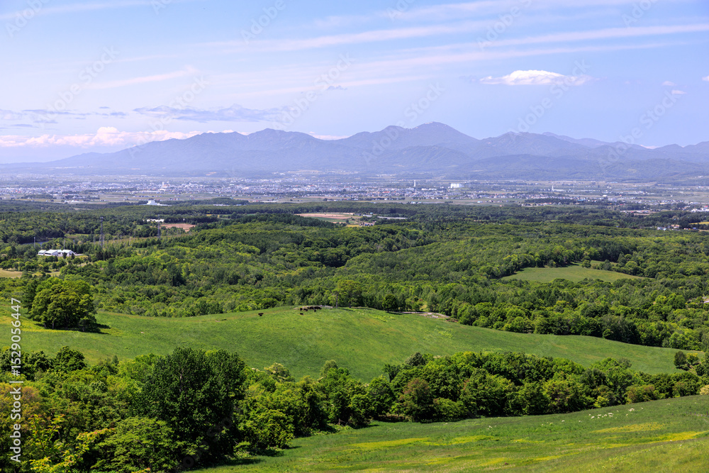 Obraz premium 北海道滝川市、丸加高原展望台からの眺め【6月】
