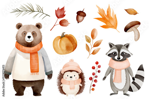 Watercolor animals in warm clothes. Bear, raccoon, hedgehog with pumpkin, acorn and fall forest elements