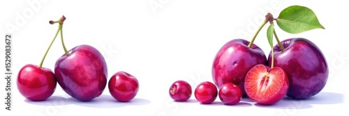 Vibrant watercolor painted plums & cherries, isolated , texture, card