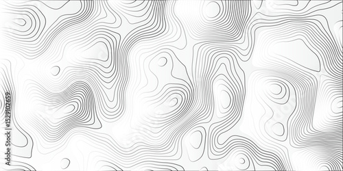 Generate a grayscale abstract vector illustration featuring flowing contour lines. The background should be a light gray or off-white. Thin, slightly darker gray or white lines should weave across.
