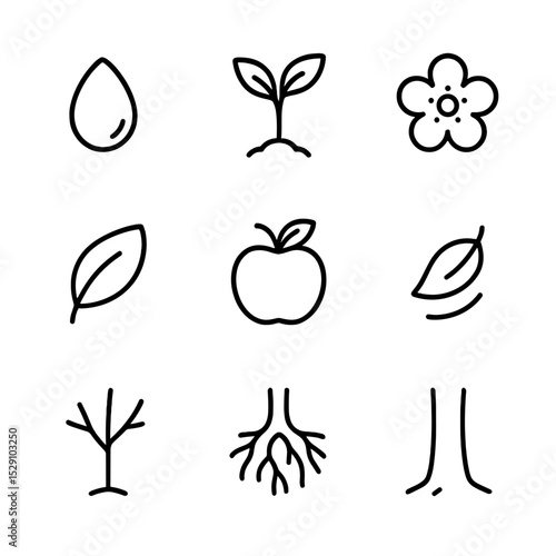 Apple Tree Life Cycle. Outline icon set of apple tree life cycle: seed, sapling, blossom, green leaf, ripe apple, falling leaf,