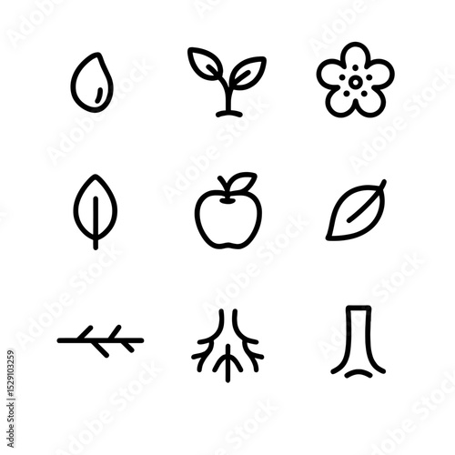Apple Tree Life Cycle. Outline icon set of apple tree life cycle: seed, sapling, blossom, green leaf, ripe apple, falling leaf,