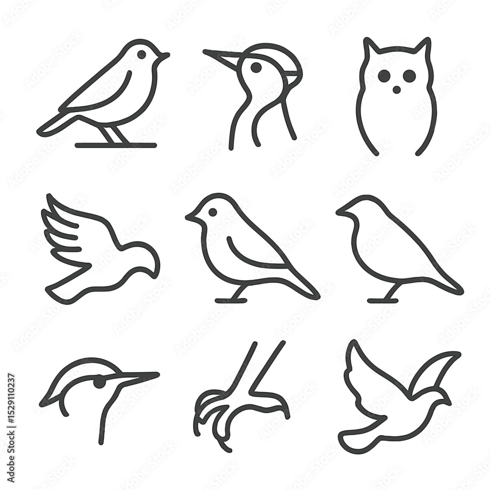 Forest Bird Icons. Outline icon set of forest birds: robin perched, woodpecker head, owl silhouette, hawk talon, crow wings, Forest Bird Icons. Outline icon set of forest birds: robin perched, woodpecker head, owl silhouette, hawk talon, crow wings,