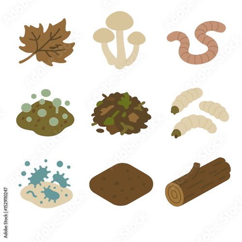 Forest Floor Icons. Isometric Flat icon set of forest floor decomposition: decaying leaf, fungus cluster, earthworm, mold patch,