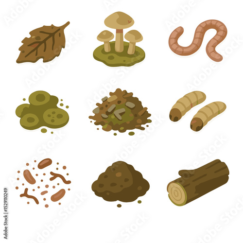 Forest Floor Icons. Isometric Flat icon set of forest floor decomposition: decaying leaf, fungus cluster, earthworm, mold patch,