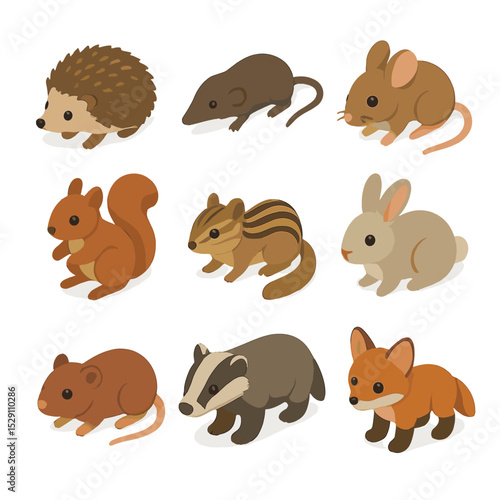 Forest Floor Icons. Isometric Flat icon set of forest floor mammals: hedgehog, shrew, mouse, squirrel, chipmunk, rabbit, vole,