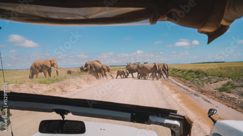 Large African elephant crossing dirt road during safari adventure in national park