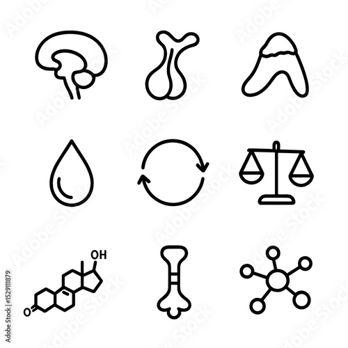 HPA Axis Icons. Outline icon set of HPA axis dysregulation: hypothalamus icon, pituitary gland, adrenal gland, hormone droplet,