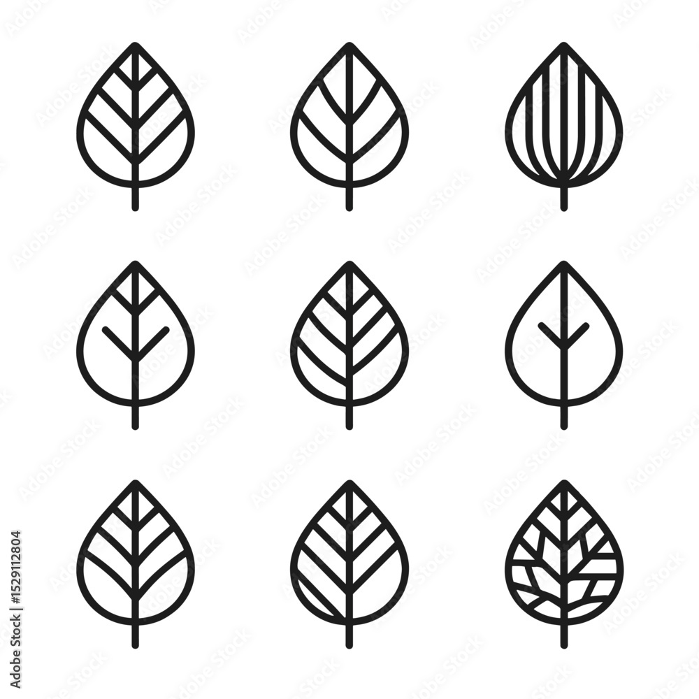 Leaf Vein Icons. Outline icon set of leaf vein patterns: pinnate vein, palmate vein, parallel vein, dichotomous vein, reticulate Leaf Vein Icons. Outline icon set of leaf vein patterns: pinnate vein, palmate vein, parallel vein, dichotomous vein, reticulate