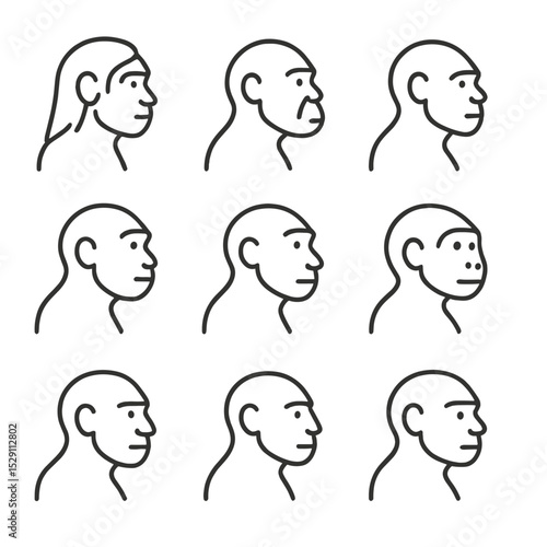 Extinct Hominins Icons. Outline icon set of extinct hominins: neanderthal, denisovan, homo erectus, homo habilis, australopithecus