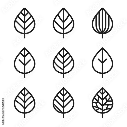 Leaf Vein Icons. Outline icon set of leaf vein patterns: pinnate vein, palmate vein, parallel vein, dichotomous vein, reticulate