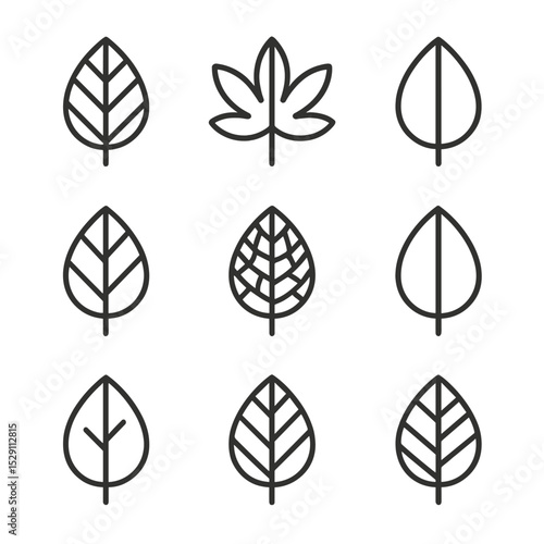 Leaf Vein Icons. Outline icon set of leaf vein patterns: pinnate vein, palmate vein, parallel vein, dichotomous vein, reticulate