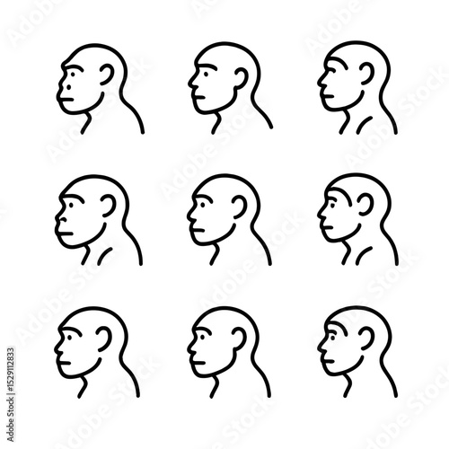 Extinct Hominins Icons. Outline icon set of extinct hominins: neanderthal, denisovan, homo erectus, homo habilis, australopithecus