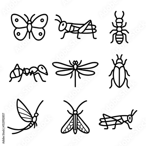 Extinct Insect Icons. Outline icon set of extinct insects: xerces blue butterfly, rocky mountain locust, saint helena giant earwig