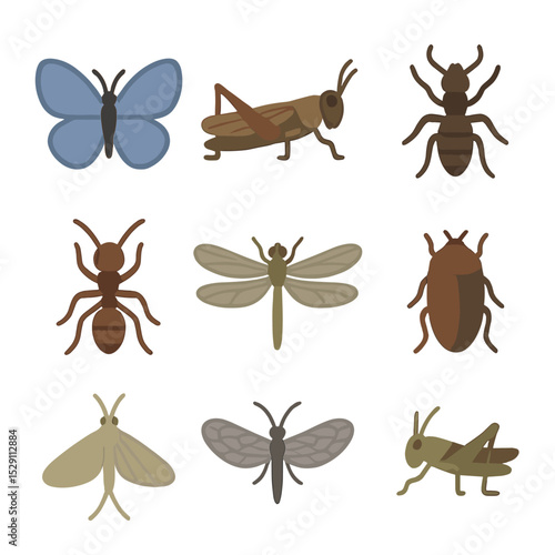 Extinct Insects Icons. Flat icon set of extinct insects: xerces blue butterfly, rocky mountain locust, saint helena giant earwig,