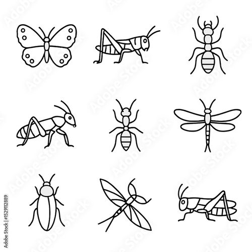 Extinct Insect Icons. Outline icon set of extinct insects: xerces blue butterfly, rocky mountain locust, saint helena giant earwig