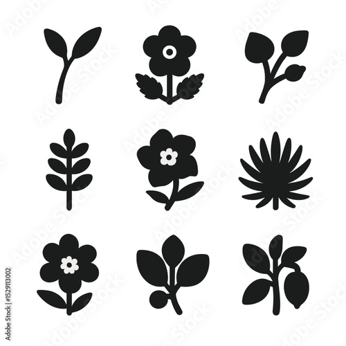 Extinct Plant Icons. Solid, Filled icon set of extinct plants: saint helena olive, franklinia alatamaha, mascarene ebony, toromiro