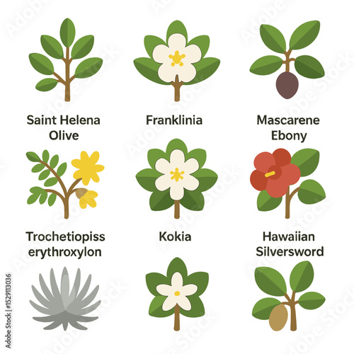 Extinct Plants Icons. Flat icon set of extinct plants: saint helena olive, franklinia alatamaha, mascarene ebony, toromiro,