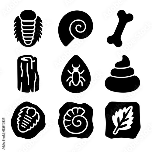 Fossil Evidence Icons. Solid, Filled icon set of fossil evidence types: trilobite, ammonite, dinosaur bone, petrified wood, amber
