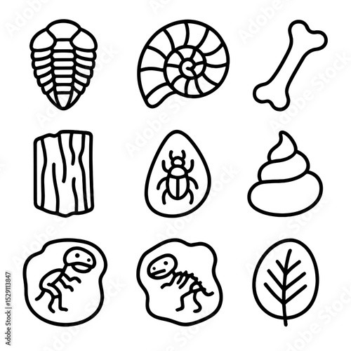 Fossil Icons Grid. Outline icon set of fossil evidence types: trilobite, ammonite, dinosaur bone, petrified wood, amber insect,