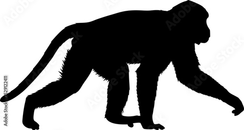Silhouette of a monkey walking on all fours against white background
