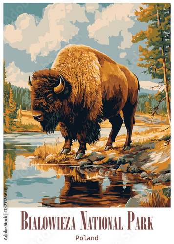 Bialowieza National Park Bison, Poland Vector Illustration