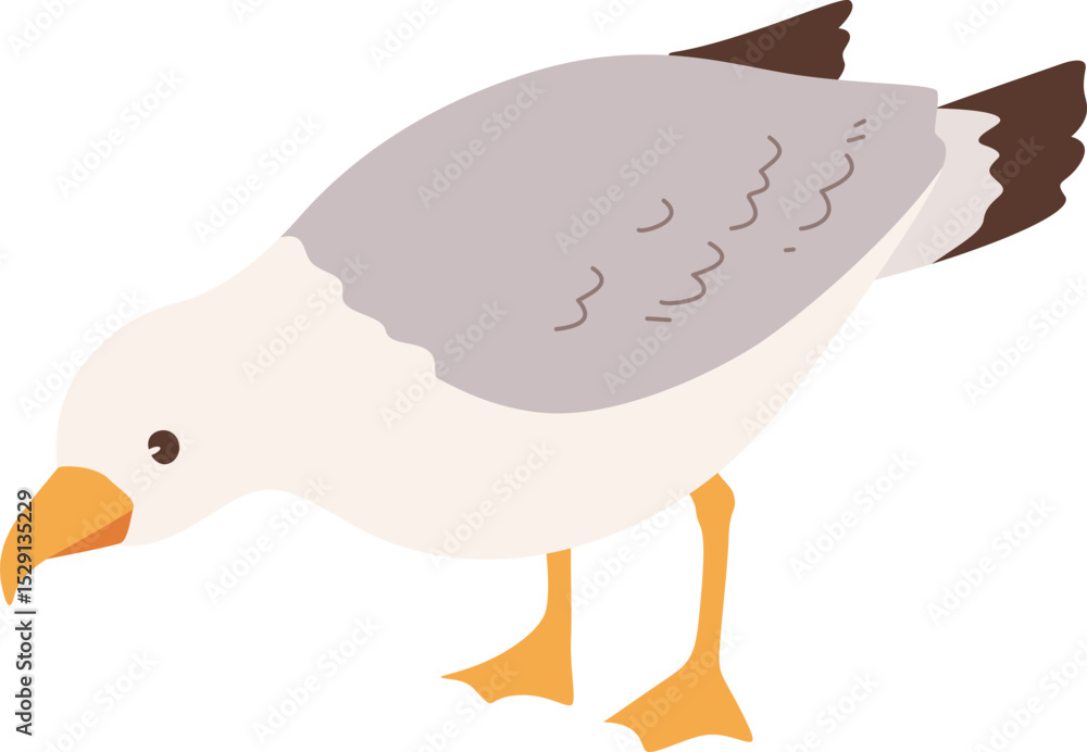 Obraz premium Seagull Bird Illustration