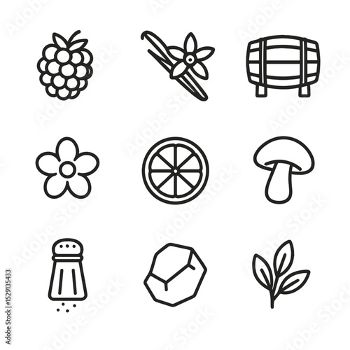 Wine Aroma Icons. Outline icon set of wine aroma descriptors: Blackberry, Vanilla pod, Oak barrel, Floral blossom, Citrus slice,
