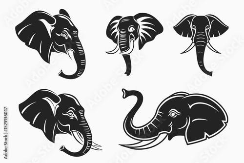 set of sea animals vector illustration