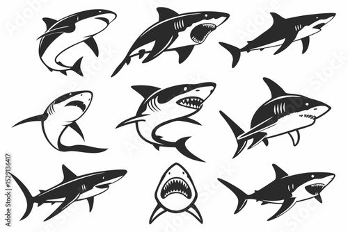 set of sharks vector