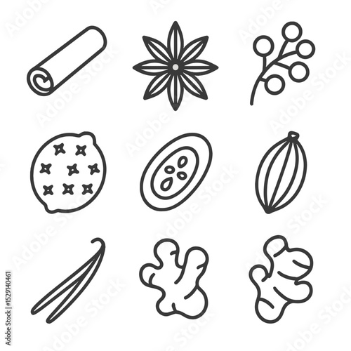 Spice Icon Set. Outline icon set of spice garnishes: cinnamon stick, star anise, peppercorn cluster, nutmeg grater, clove-studded