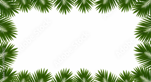 Tropical Palm Leaves Frame White Background Summer Design Template
