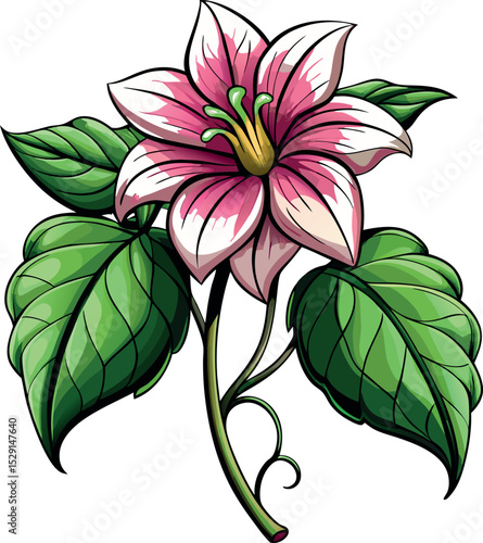 Creeper Flower png, creeper flower vector, Vine with transparent Background