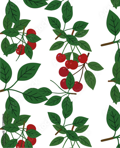 Wallpaper Mural image of cherry branch on white background, loop. Torontodigital.ca