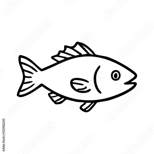 魚　線画　手書き