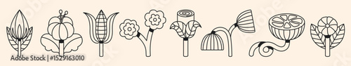 Whimsical floral doodle collection with quirky fantasy flowers in bold line style. Unique botanical elements perfect for coloring pages, creative crafts, nature themes, and decorative compositions.