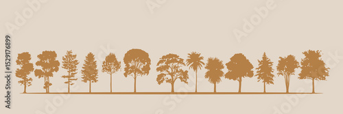 Rows of tree silhouettes standing parallel beside the road. vector illustration