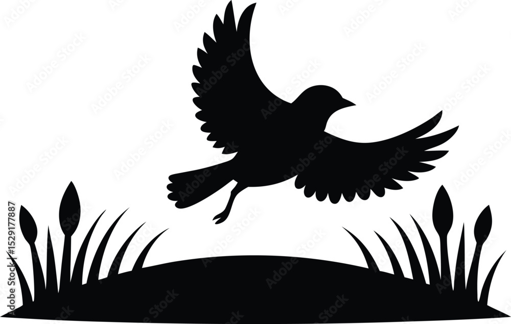 Obraz premium vector illustration of a Black Cowbird