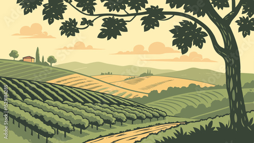 Rolling Hills Vineyard Landscape A Bright and Picturesque View of Grapevines