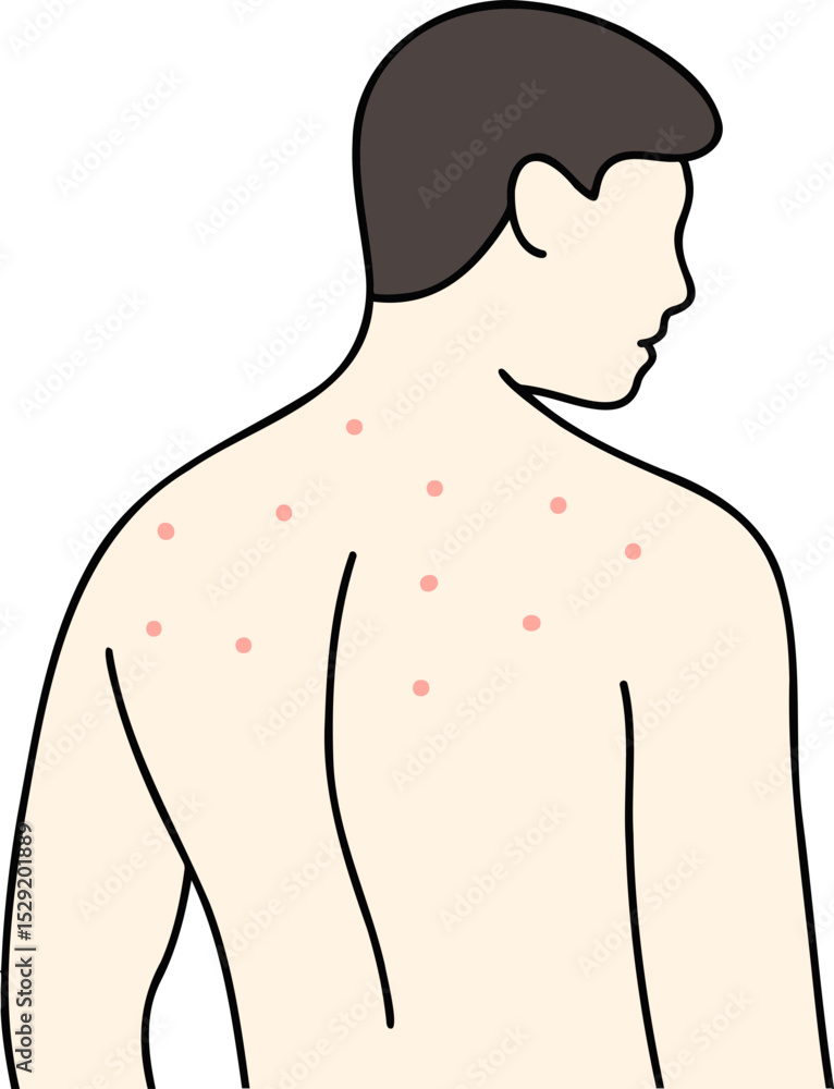 Fototapeta premium 등드름 남