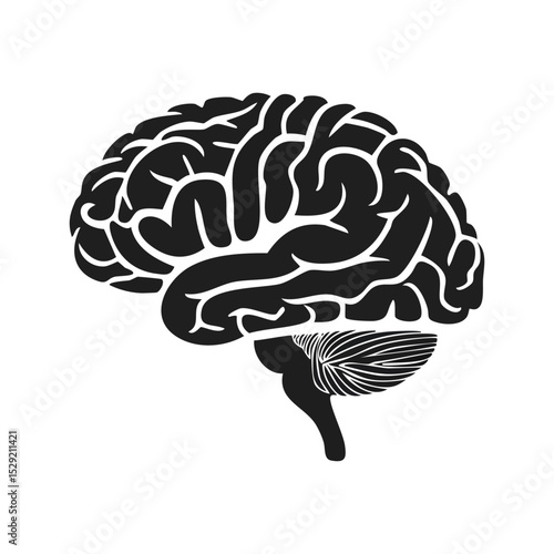 human brain vector illustration