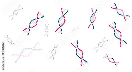 dna, genetica, pezzetti, pezzi, tagliare, rna